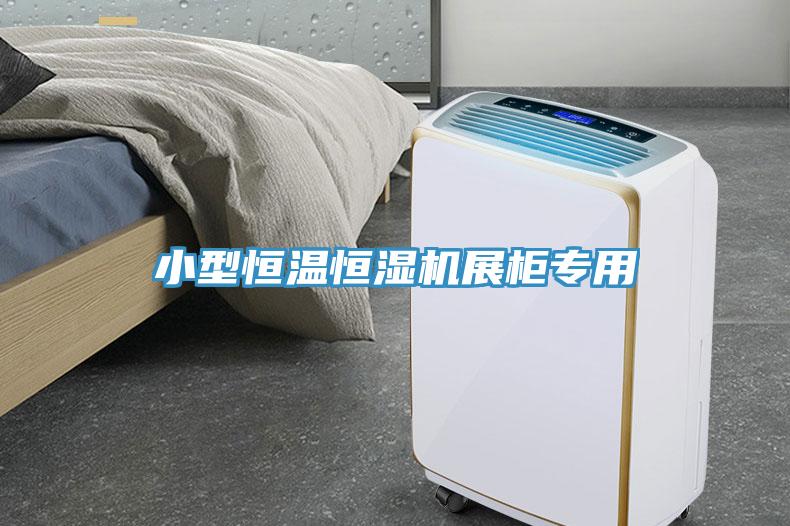 小型恒溫恒濕機(jī)展柜專用