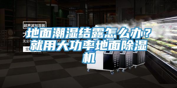 地面潮濕結(jié)露怎么辦？就用大功率地面除濕機
