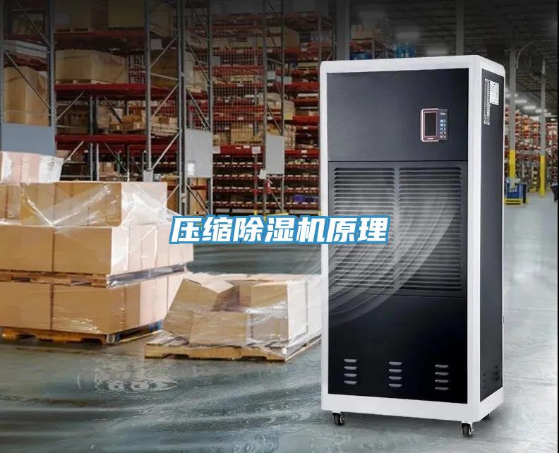 壓縮除濕機原理