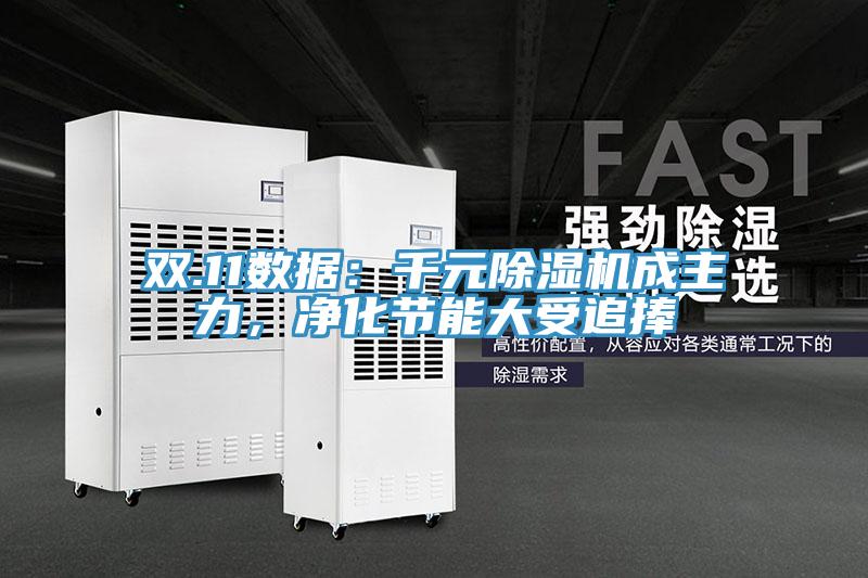 雙.11數(shù)據(jù)：千元除濕機成主力，凈化節(jié)能大受追捧