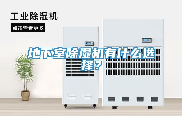 地下室除濕機(jī)有什么選擇？
