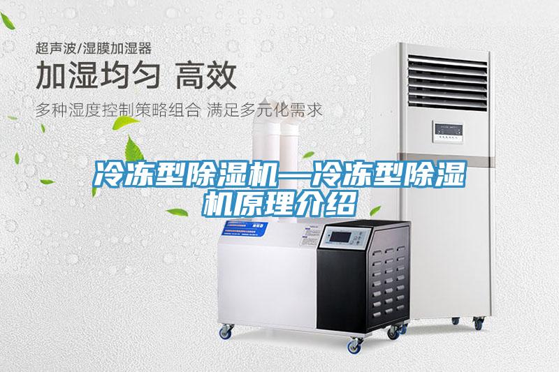 冷凍型除濕機—冷凍型除濕機原理介紹