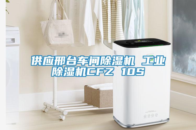 供應(yīng)邢臺(tái)車間除濕機(jī) 工業(yè)除濕機(jī)CFZ 10S