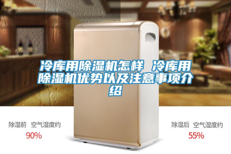 冷庫(kù)用除濕機(jī)怎樣 冷庫(kù)用除濕機(jī)優(yōu)勢(shì)以及注意事項(xiàng)介紹