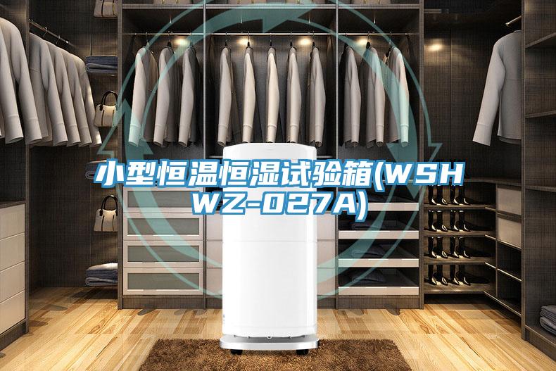 小型恒溫恒濕試驗箱(WSHWZ-027A)