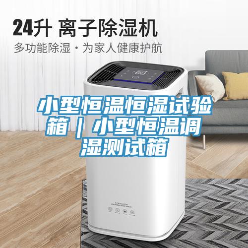 小型恒溫恒濕試驗(yàn)箱｜小型恒溫調(diào)濕測試箱