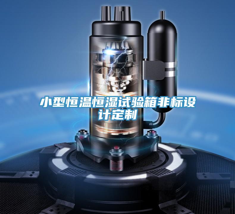 小型恒溫恒濕試驗(yàn)箱非標(biāo)設(shè)計(jì)定制