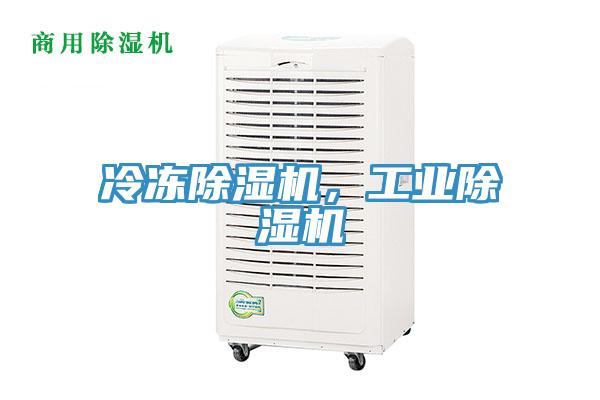 冷凍除濕機(jī)，工業(yè)除濕機(jī)