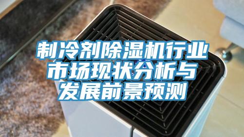 制冷劑除濕機行業(yè)市場現狀分析與發(fā)展前景預測