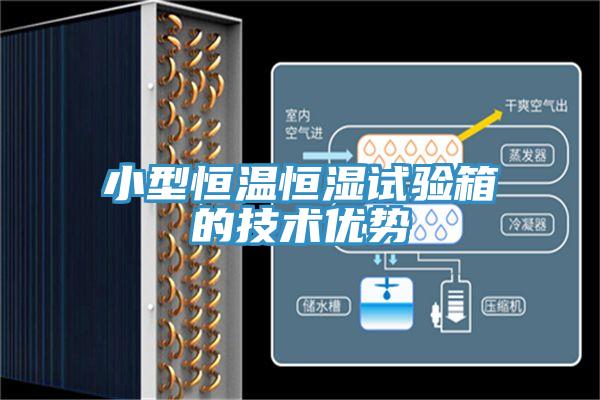 小型恒溫恒濕試驗箱的技術(shù)優(yōu)勢