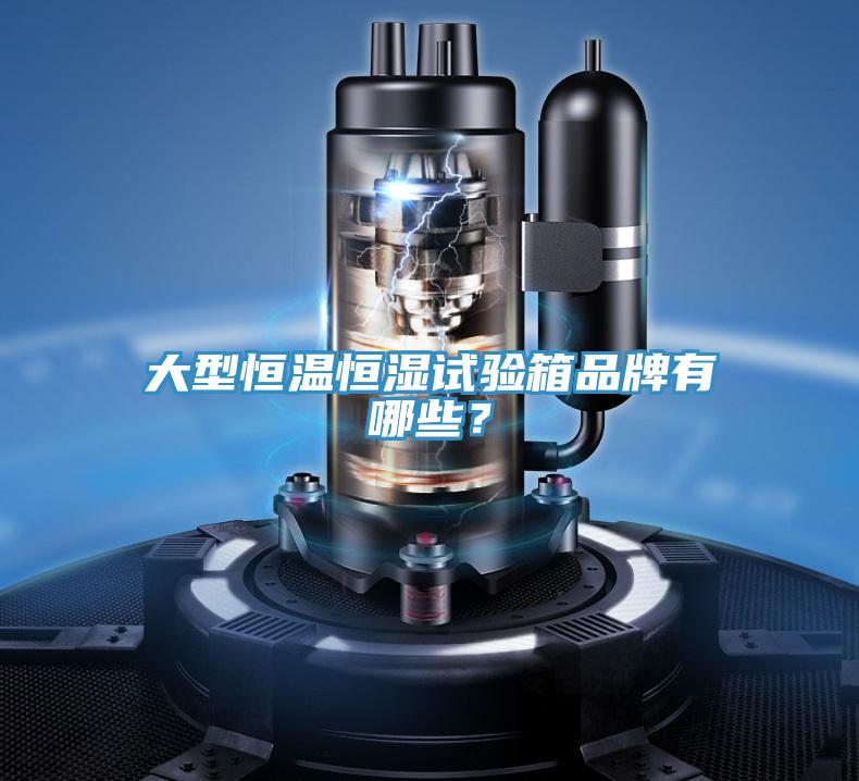 大型恒溫恒濕試驗(yàn)箱品牌有哪些？