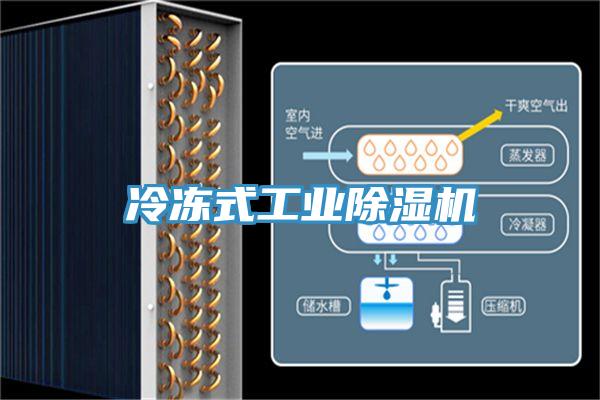 冷凍式工業(yè)除濕機(jī)