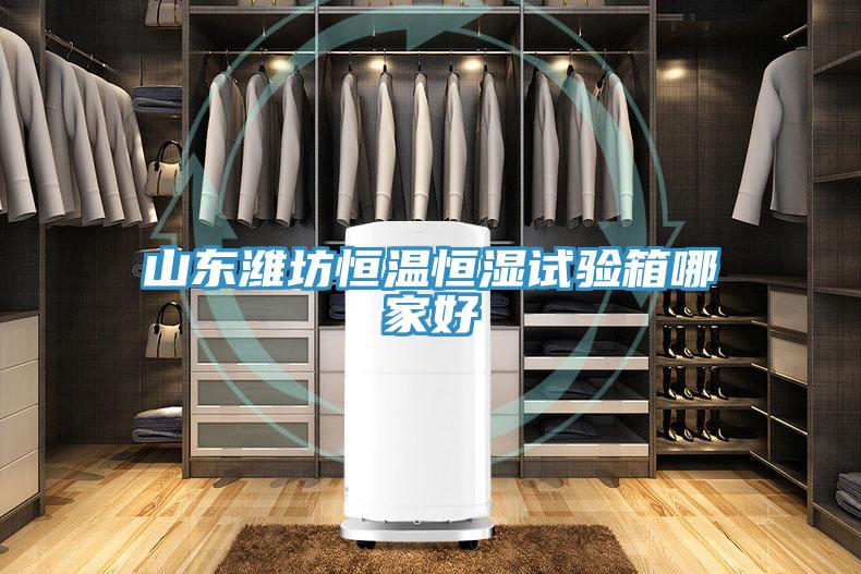 山東濰坊恒溫恒濕試驗(yàn)箱哪家好