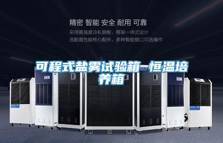 可程式鹽霧試驗(yàn)箱 恒溫培養(yǎng)箱