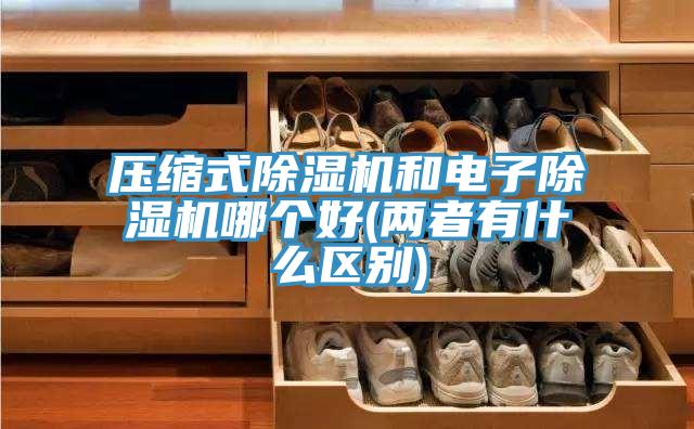壓縮式除濕機(jī)和電子除濕機(jī)哪個(gè)好(兩者有什么區(qū)別)