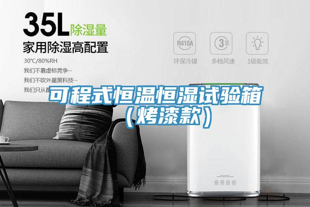 可程式恒溫恒濕試驗(yàn)箱（烤漆款）
