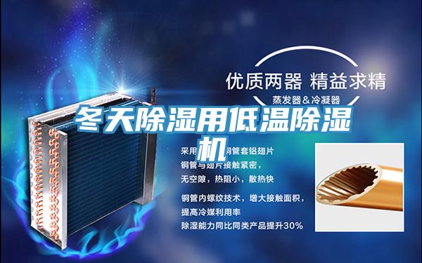 冬天除濕用低溫除濕機
