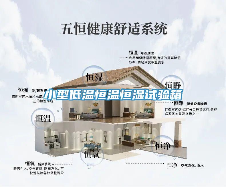 小型低溫恒溫恒濕試驗(yàn)箱