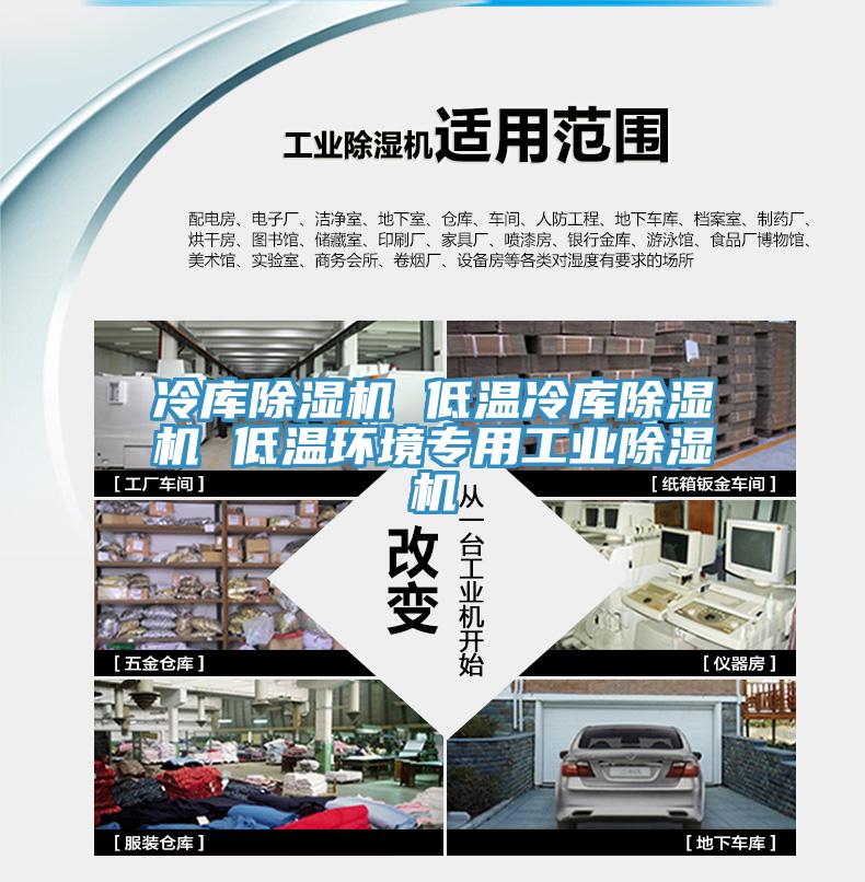 冷庫除濕機(jī) 低溫冷庫除濕機(jī) 低溫環(huán)境專用工業(yè)除濕機(jī)