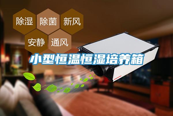 小型恒溫恒濕培養(yǎng)箱