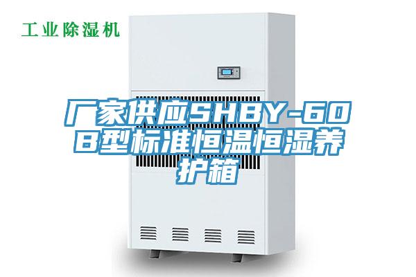 廠家供應(yīng)SHBY-60B型標(biāo)準(zhǔn)恒溫恒濕養(yǎng)護(hù)箱