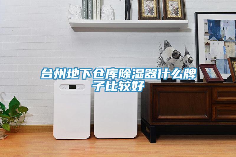 臺(tái)州地下倉(cāng)庫(kù)除濕器什么牌子比較好