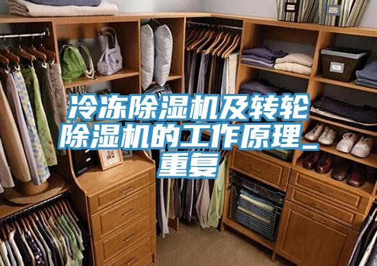 冷凍除濕機(jī)及轉(zhuǎn)輪除濕機(jī)的工作原理_重復(fù)