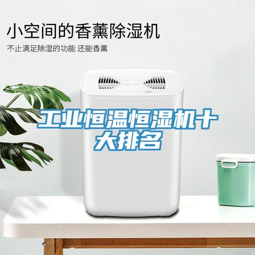 工業(yè)恒溫恒濕機(jī)十大排名