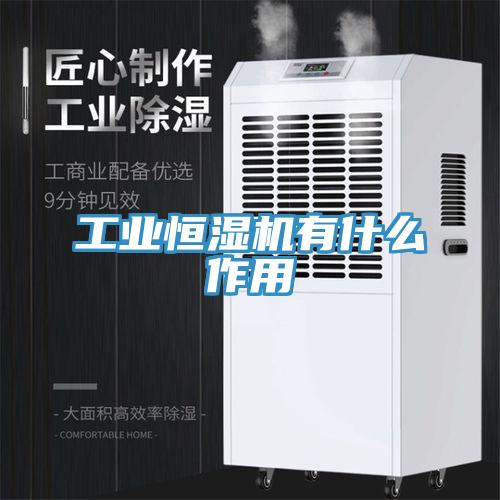 工業(yè)恒濕機(jī)有什么作用