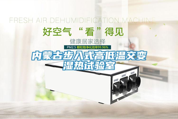 內(nèi)蒙古步入式高低溫交變濕熱試驗(yàn)室