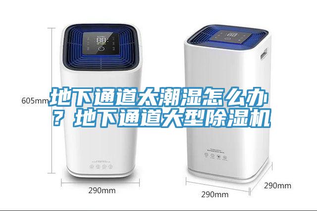 地下通道太潮濕怎么辦？地下通道大型除濕機