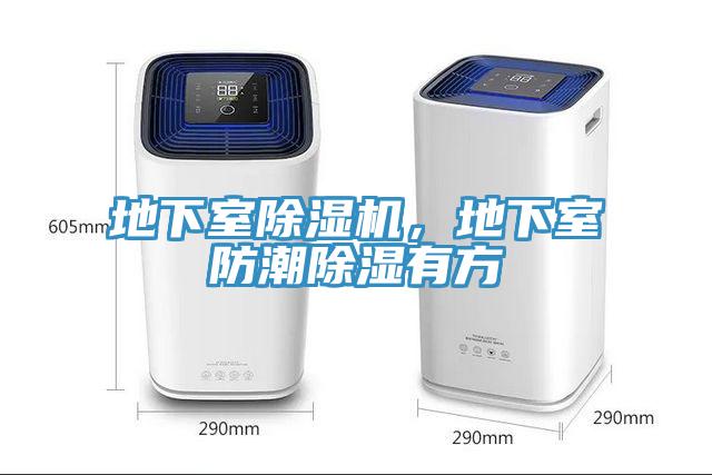 地下室除濕機(jī)，地下室防潮除濕有方