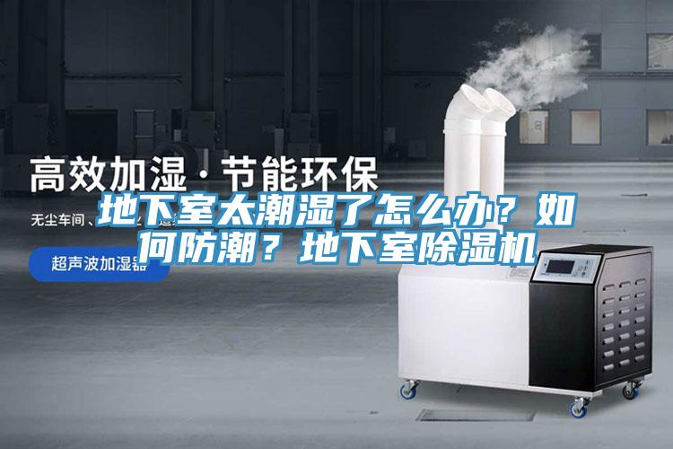 地下室太潮濕了怎么辦？如何防潮？地下室除濕機