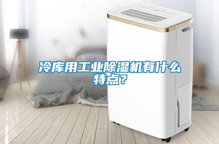 冷庫用工業(yè)除濕機(jī)有什么特點(diǎn)？