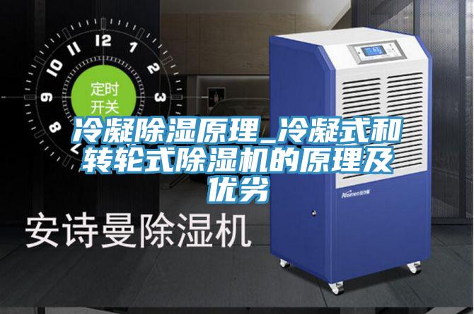冷凝除濕原理_冷凝式和轉(zhuǎn)輪式除濕機(jī)的原理及優(yōu)劣
