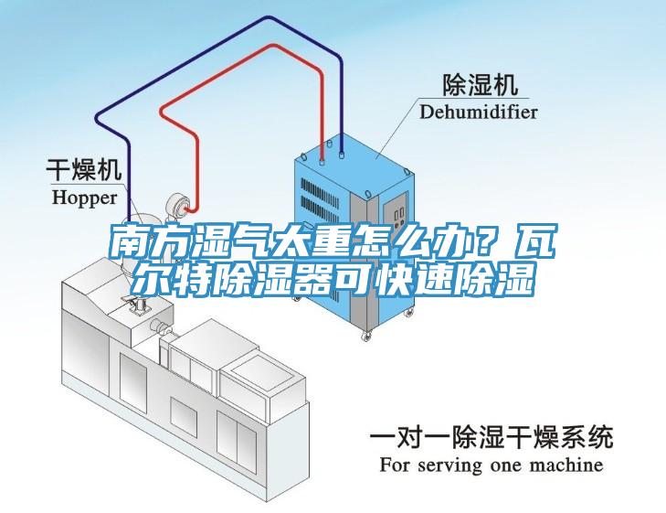 南方濕氣太重怎么辦？瓦爾特除濕器可快速除濕