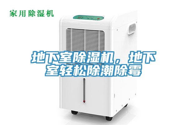 地下室除濕機，地下室輕松除潮除霉