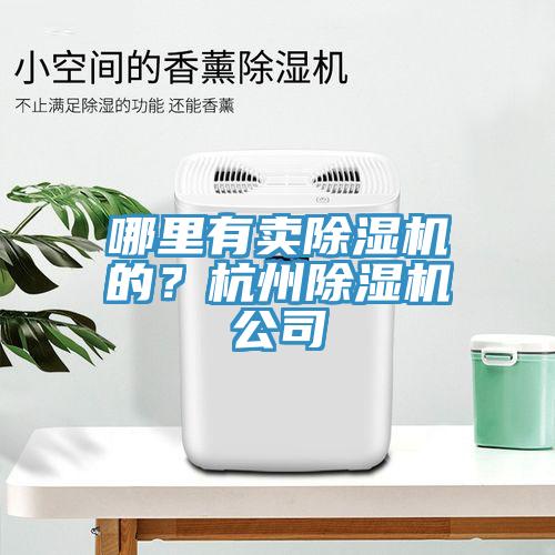 哪里有賣除濕機的？杭州除濕機公司