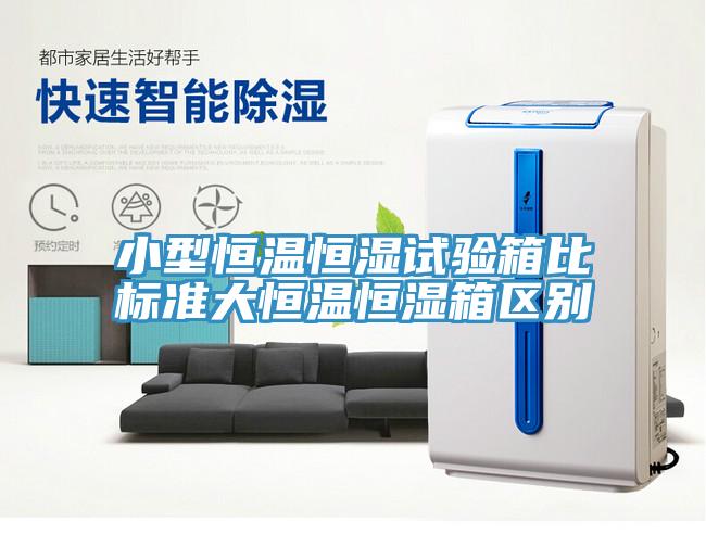 小型恒溫恒濕試驗箱比標(biāo)準(zhǔn)大恒溫恒濕箱區(qū)別