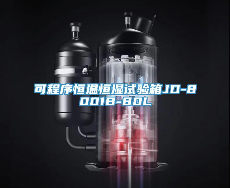 可程序恒溫恒濕試驗箱JD-8001B-80L