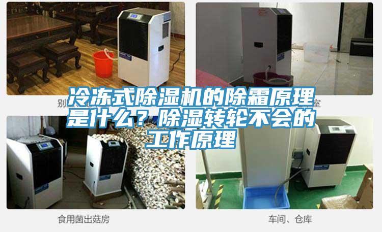 冷凍式除濕機(jī)的除霜原理是什么？除濕轉(zhuǎn)輪不會(huì)的工作原理