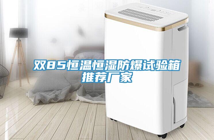 雙85恒溫恒濕防爆試驗(yàn)箱推薦廠家