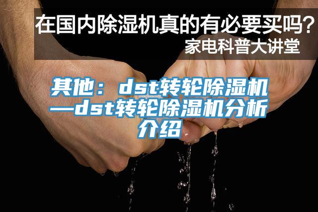 其他：dst轉(zhuǎn)輪除濕機(jī)—dst轉(zhuǎn)輪除濕機(jī)分析介紹