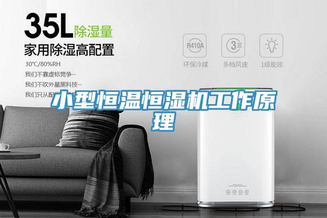 小型恒溫恒濕機(jī)工作原理