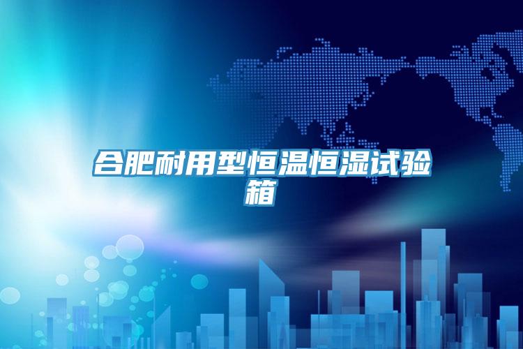 合肥耐用型恒溫恒濕試驗箱