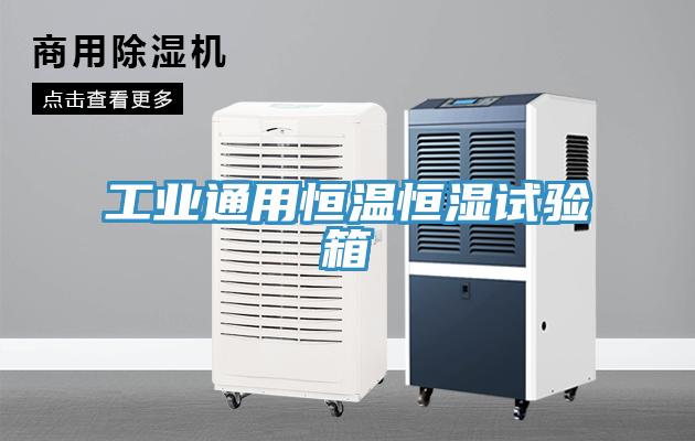 工業(yè)通用恒溫恒濕試驗(yàn)箱