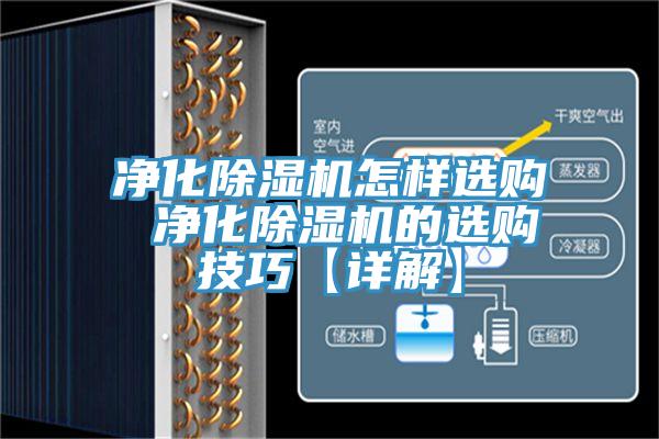 凈化除濕機怎樣選購 凈化除濕機的選購技巧【詳解】