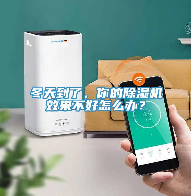 冬天到了，你的除濕機效果不好怎么辦？