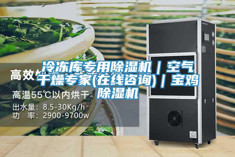 冷凍庫專用除濕機｜空氣干燥專家(在線咨詢)｜寶雞除濕機