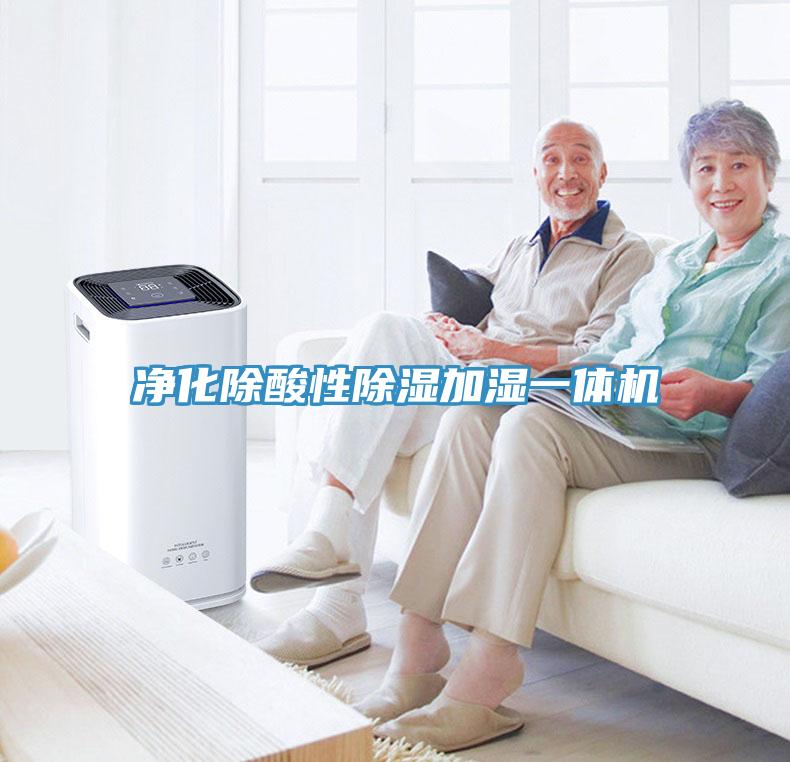 凈化除酸性除濕加濕一體機
